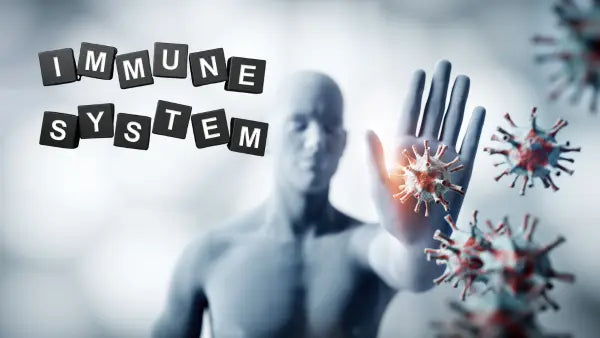 EWOT and Immune Health: How Oxygen Therapy Supports Your Immune System