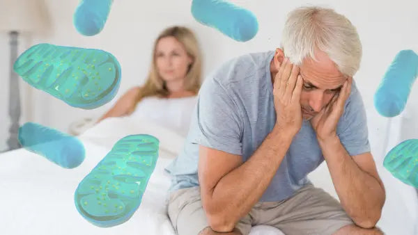 How to Improve Mitochondrial Function | The Energy Fix Your Cells Actually Need
