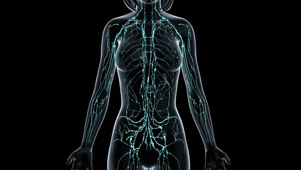 Red Light Therapy for Lymphatic Drainage
