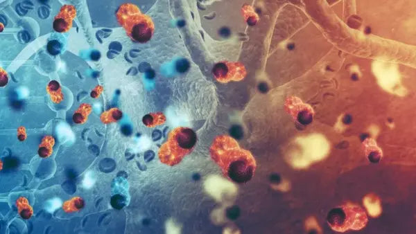 Red Light Therapy and Cancer: Safety, Recovery and What the Research Shows