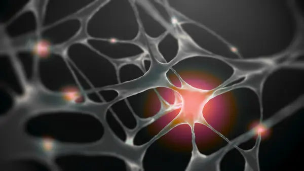 Red Light Therapy for Nerve Pain