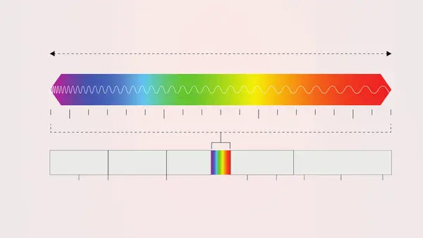 Red Light Therapy Wavelengths Explained | Chart, Ranges & What Actually Matters